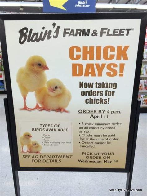 fleet farm chicks